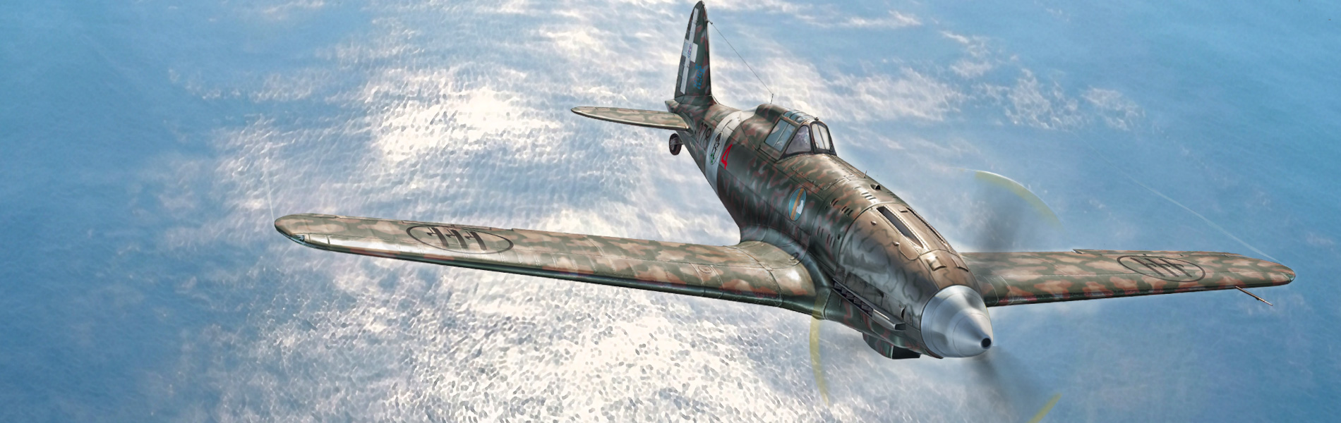 Macchi MC.202 
Early Series